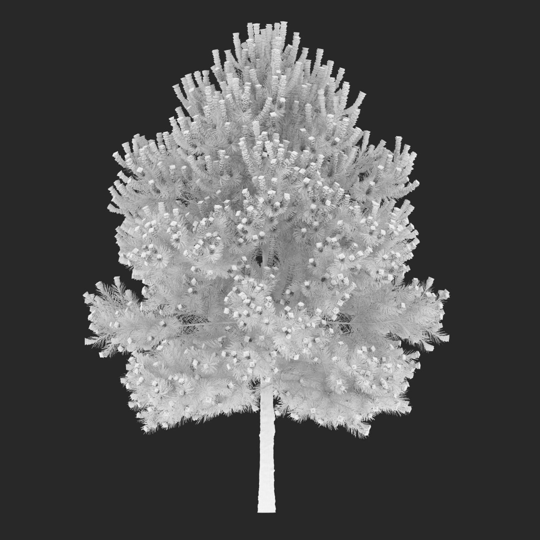 Pinus Nigra 3D Model – High Poly Coniferous Tree, FBX, PBR Textures