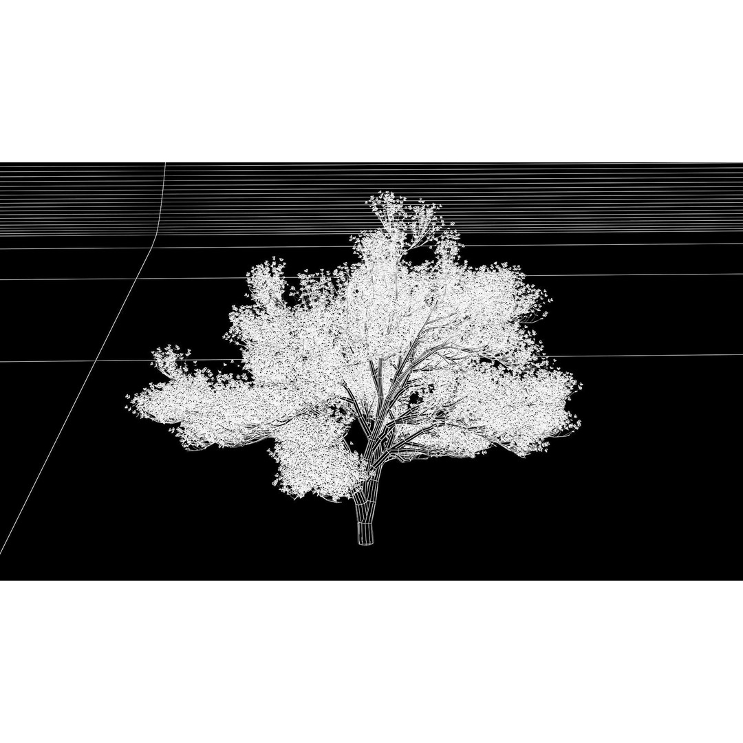 Flowering Apple Tree 3D Model – Realistic Plant Asset, FBX, PBR