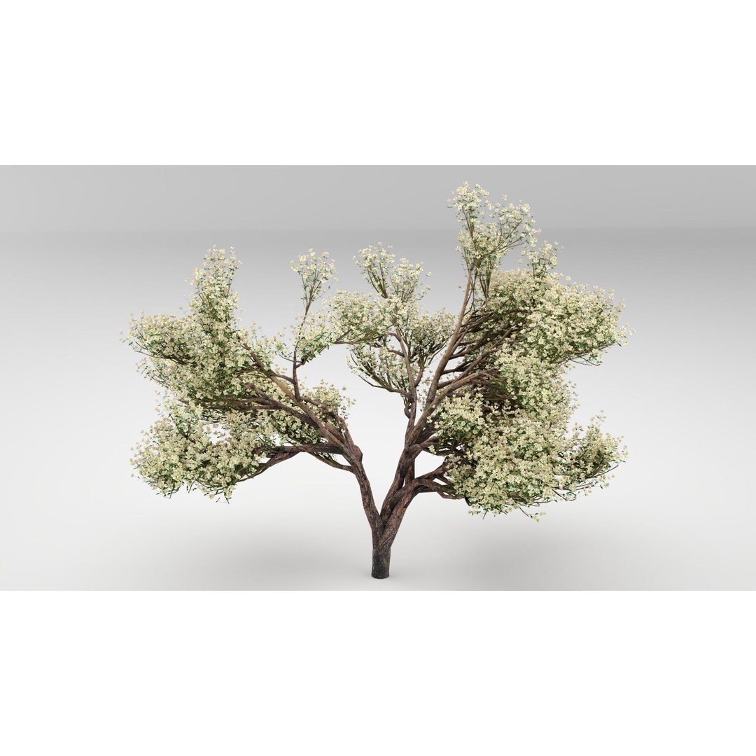 Flowering Apple Tree 3D Model – Realistic Plant Asset, FBX, PBR - View 9