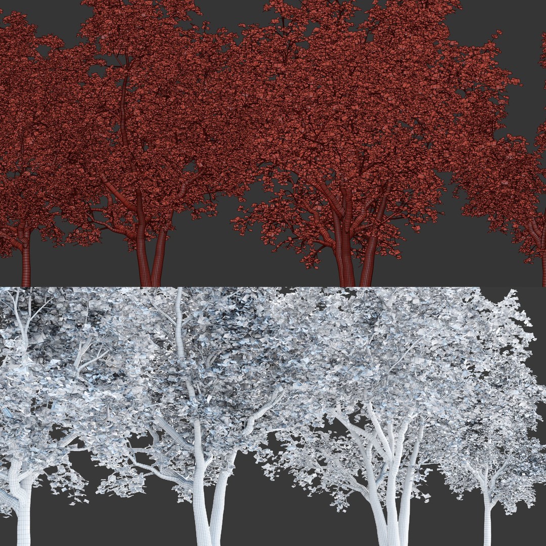 Trees 3D Model – Realistic Collection for Games and Archviz, FBX, OBJ
