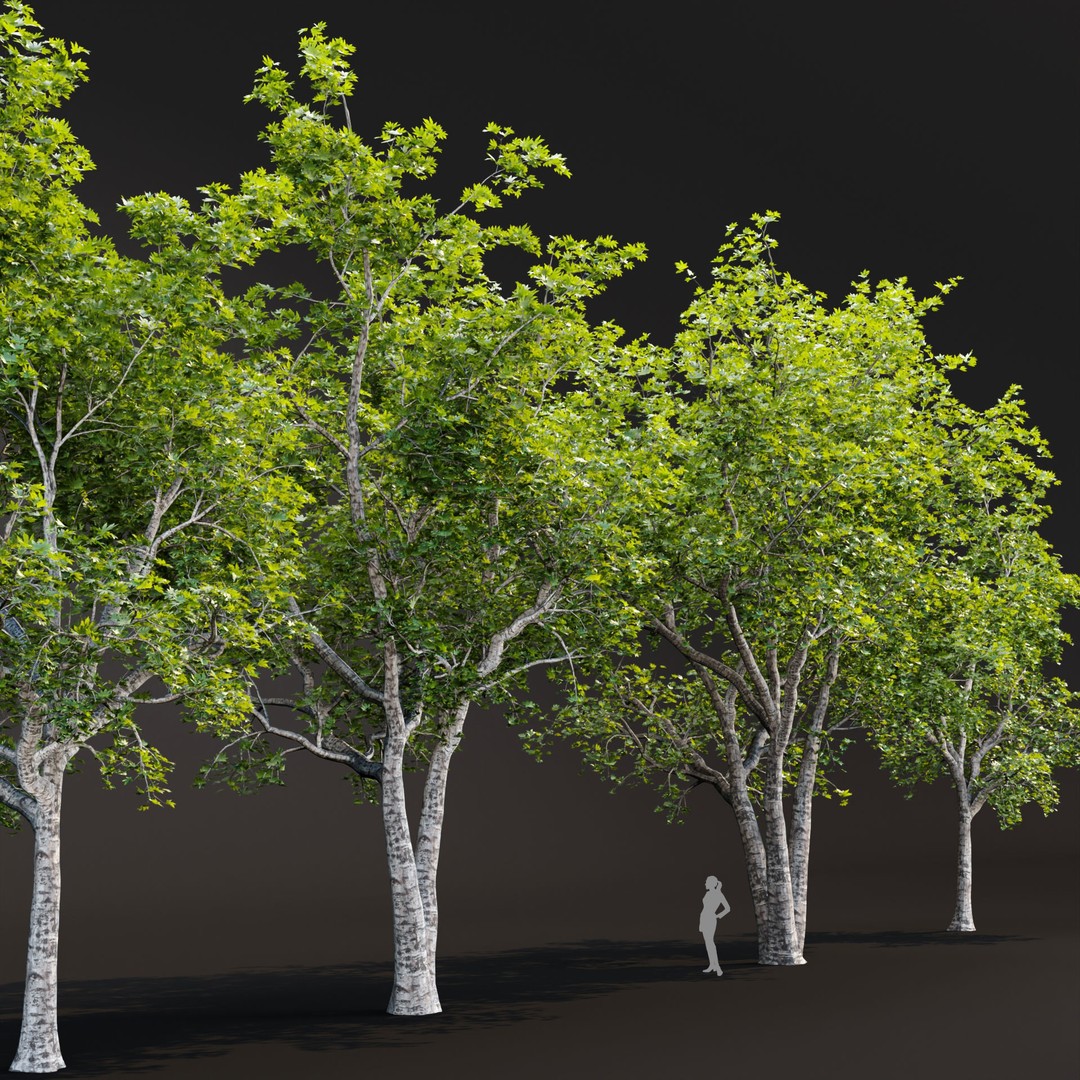 Trees 3D Model – Realistic Collection for Games and Archviz, FBX, OBJ - View 7
