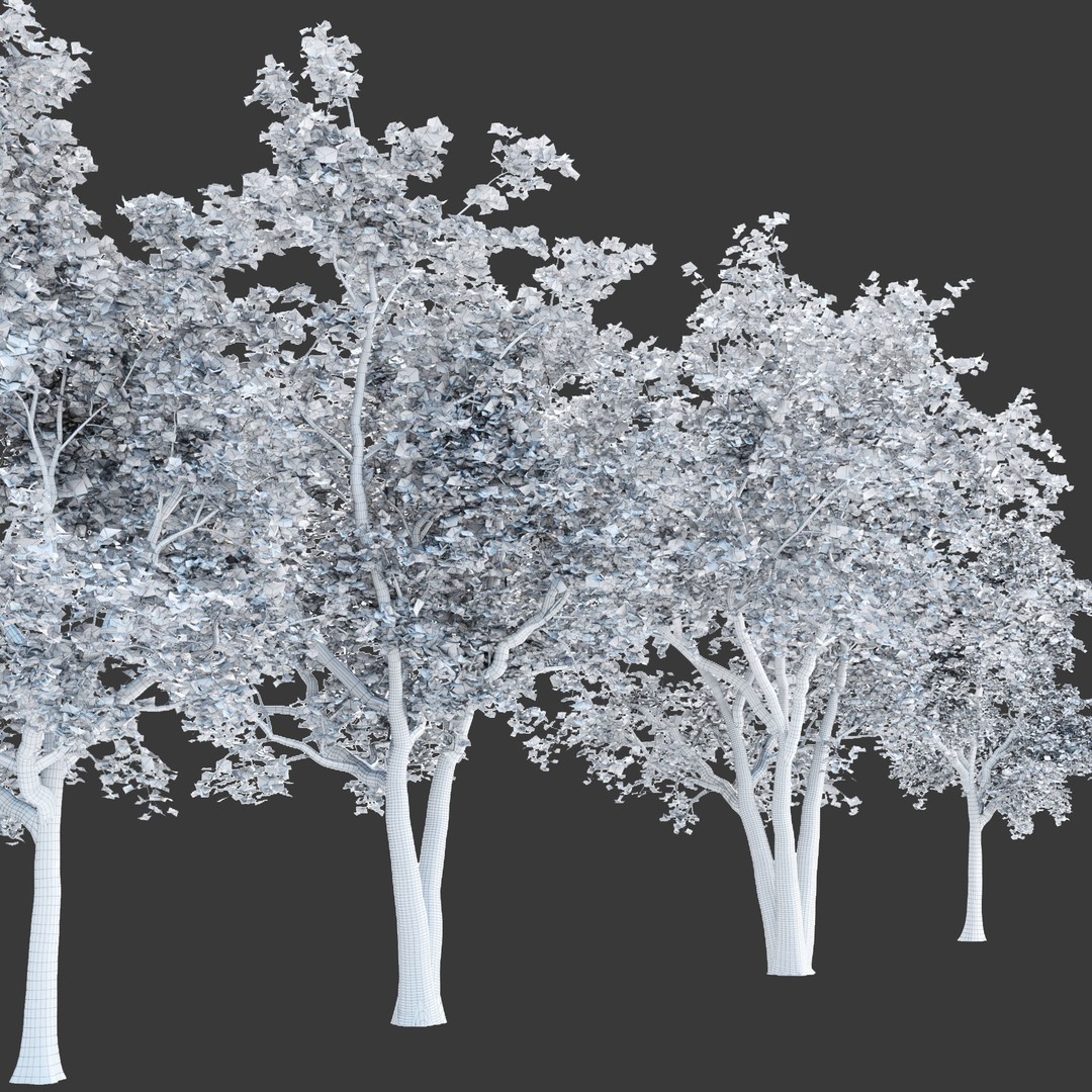 Trees 3D Model – Realistic Collection for Games and Archviz, FBX, OBJ - View 8