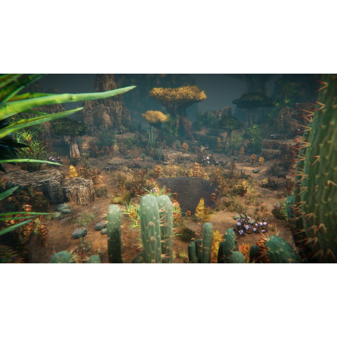 Desert Plants 3D Model – Low Poly Fantasy Vegetation, PBR Textures - View 8