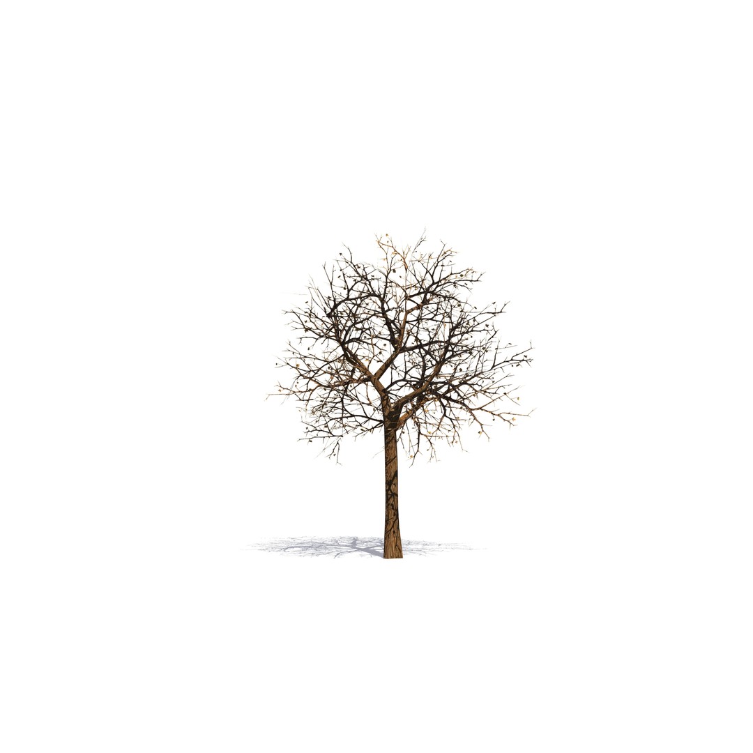 Vegetation 3D Model – Low Poly Game Ready Bundle with PBR Textures - View 13