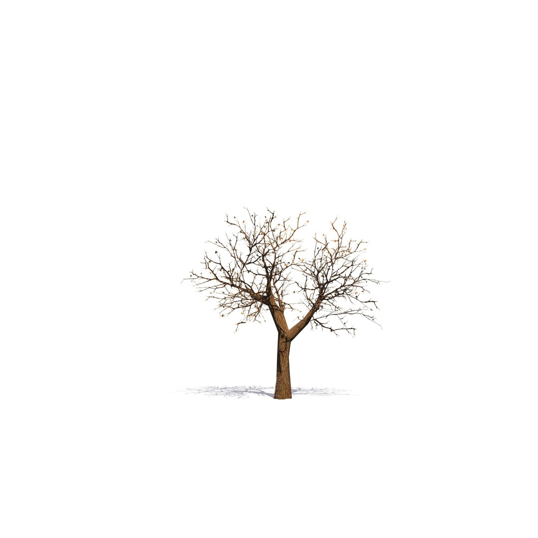 Vegetation 3D Model – Low Poly Game Ready Bundle with PBR Textures - View 16