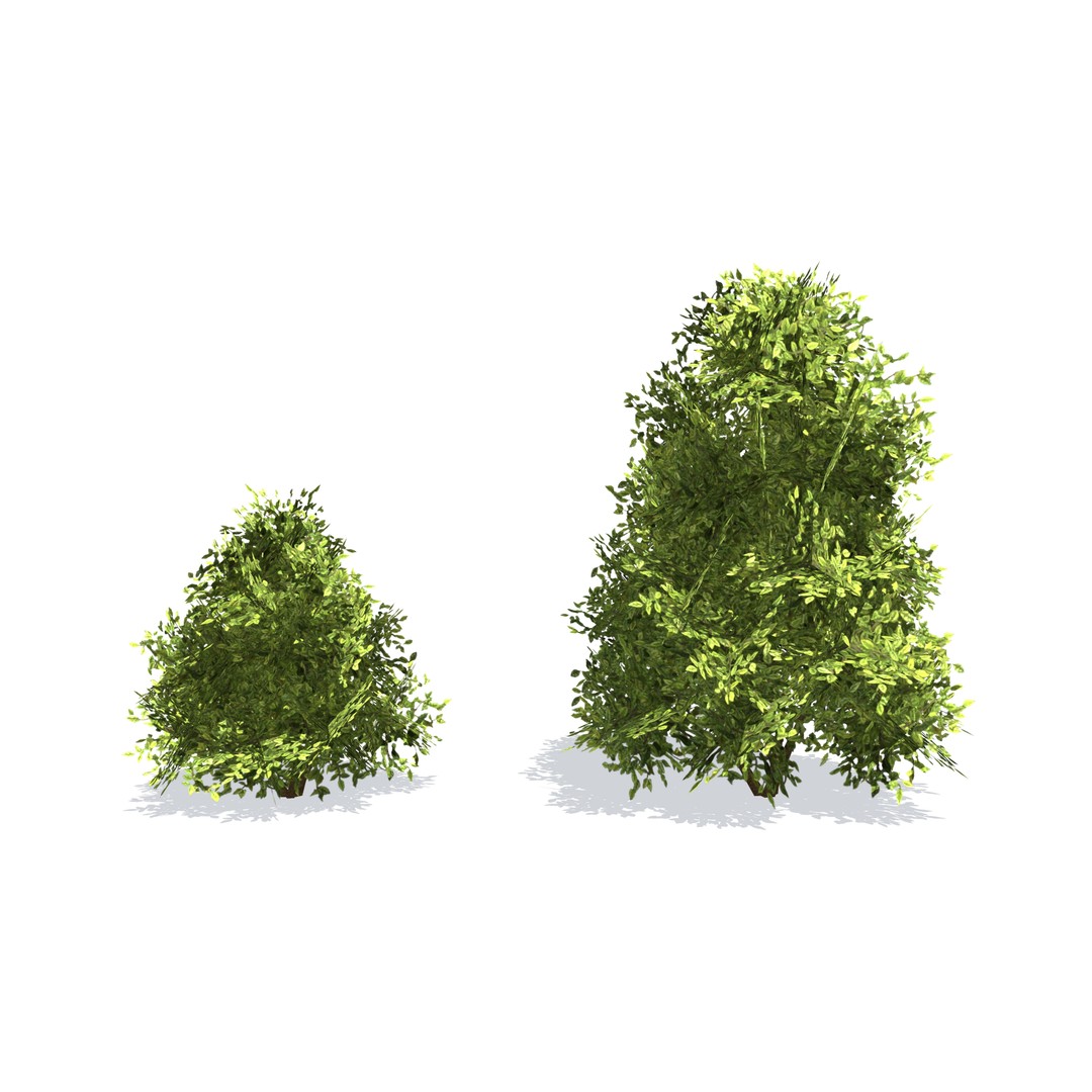 Vegetation 3D Model – Low Poly Game Ready Bundle with PBR Textures - View 31