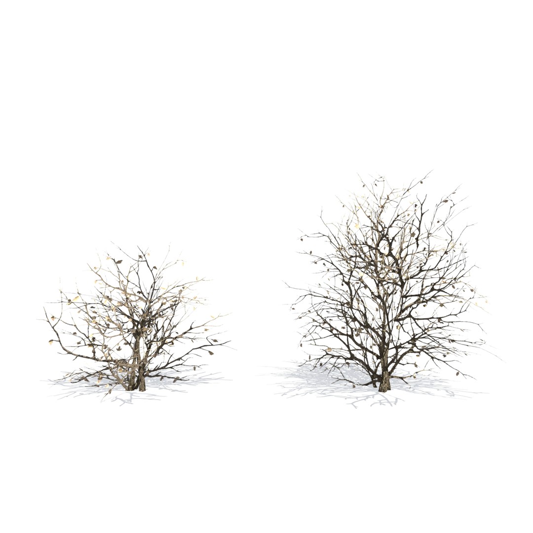 Vegetation 3D Model – Low Poly Game Ready Bundle with PBR Textures - View 34