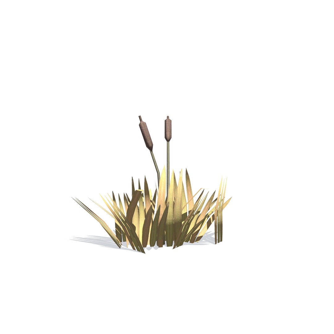 Vegetation 3D Model – Low Poly Game Ready Bundle with PBR Textures - View 37