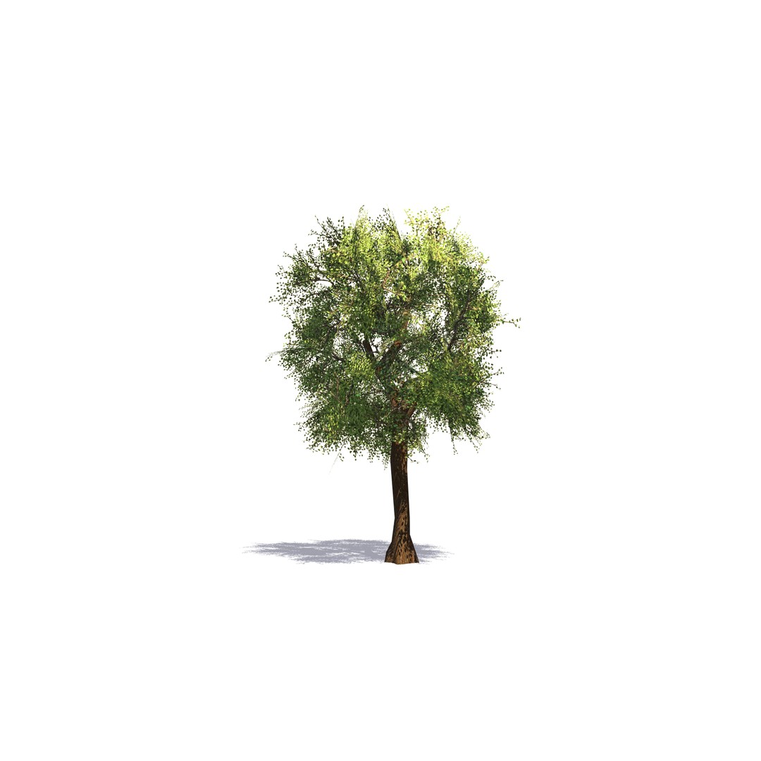 Vegetation 3D Model – Low Poly Game Ready Bundle with PBR Textures - View 4