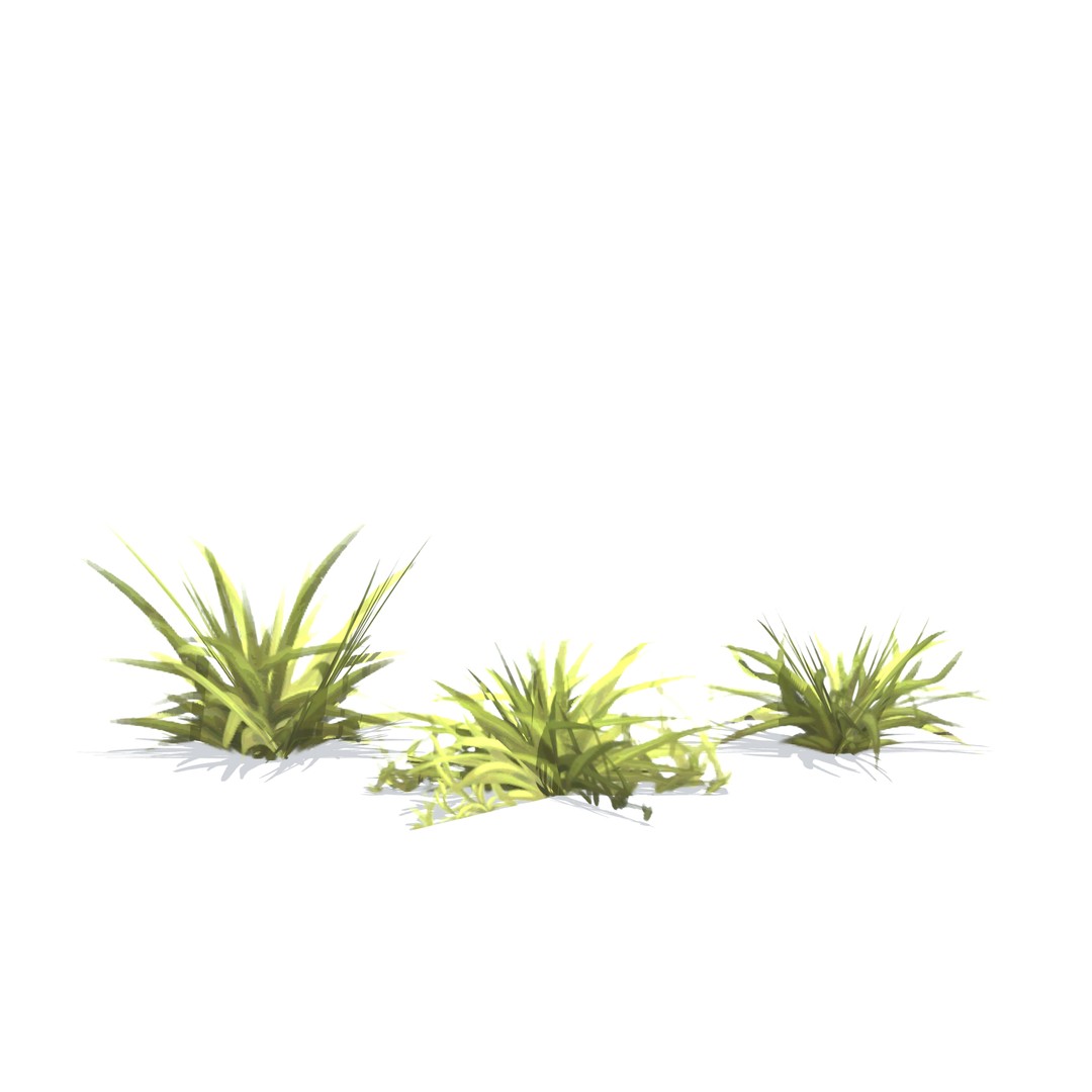 Vegetation 3D Model – Low Poly Game Ready Bundle with PBR Textures - View 40