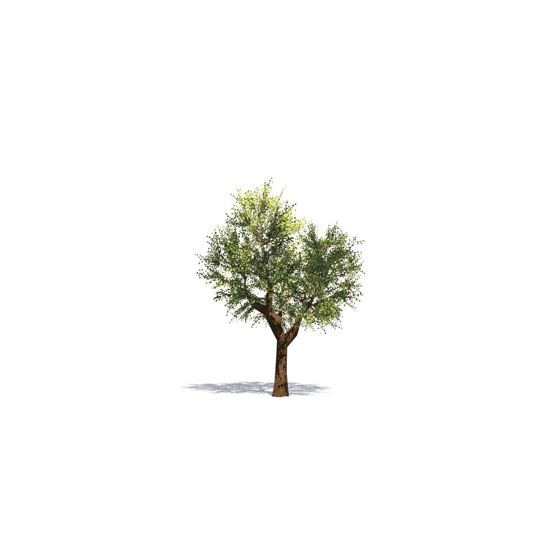 Vegetation 3D Model – Low Poly Game Ready Bundle with PBR Textures - View 7