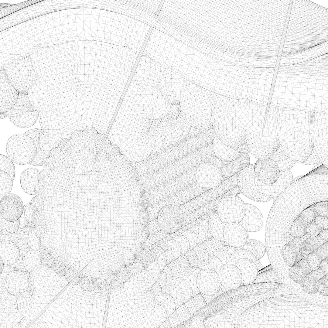 Leaf Anatomy Layers 3D Model – High Poly PBR Asset, OBJ FBX STL - View 13