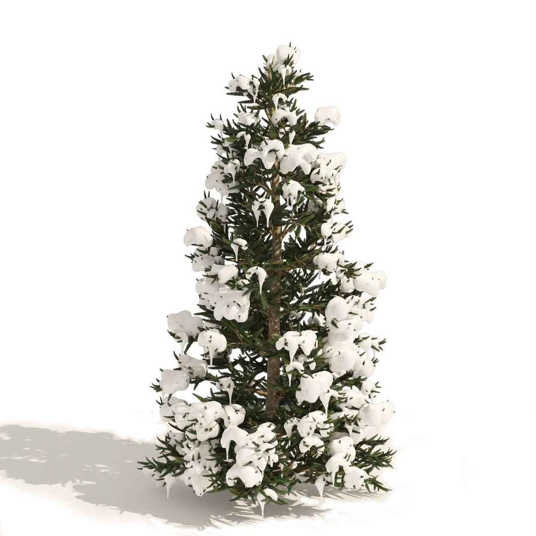 Conifer 3D Model Pack – High-Quality Trees for Archviz & Games - View 10