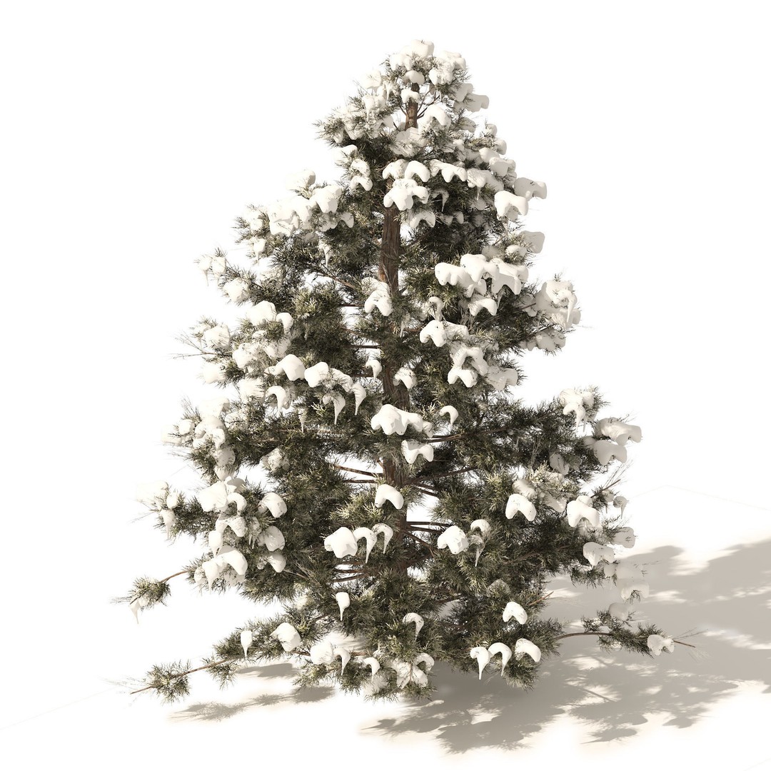 Conifer 3D Model Pack – High-Quality Trees for Archviz & Games - View 14