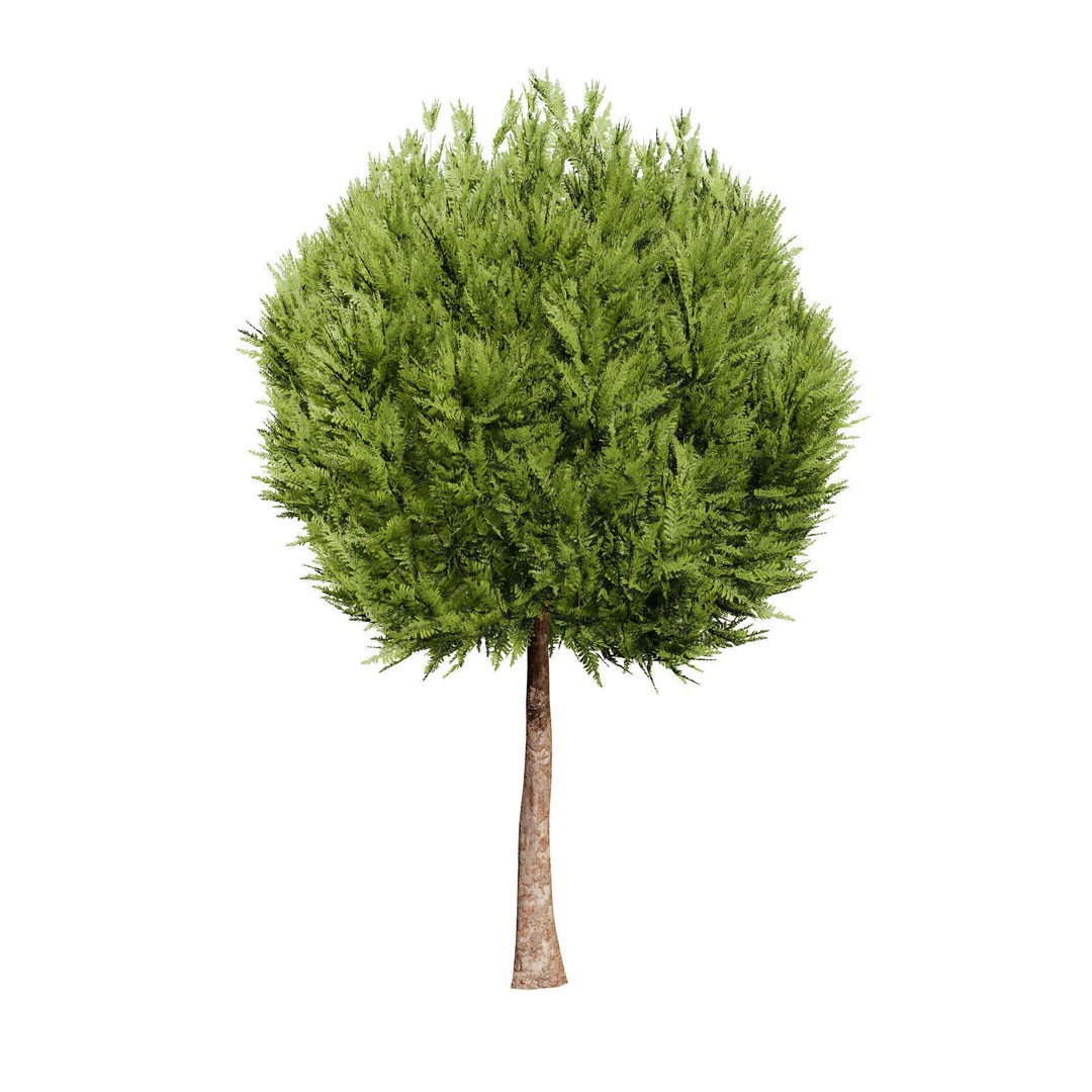 Conifer 3D Model Pack – High-Quality Trees for Archviz & Games - View 15
