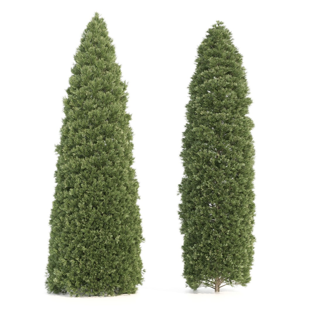 Conifer 3D Model Pack – High-Quality Trees for Archviz & Games - View 17