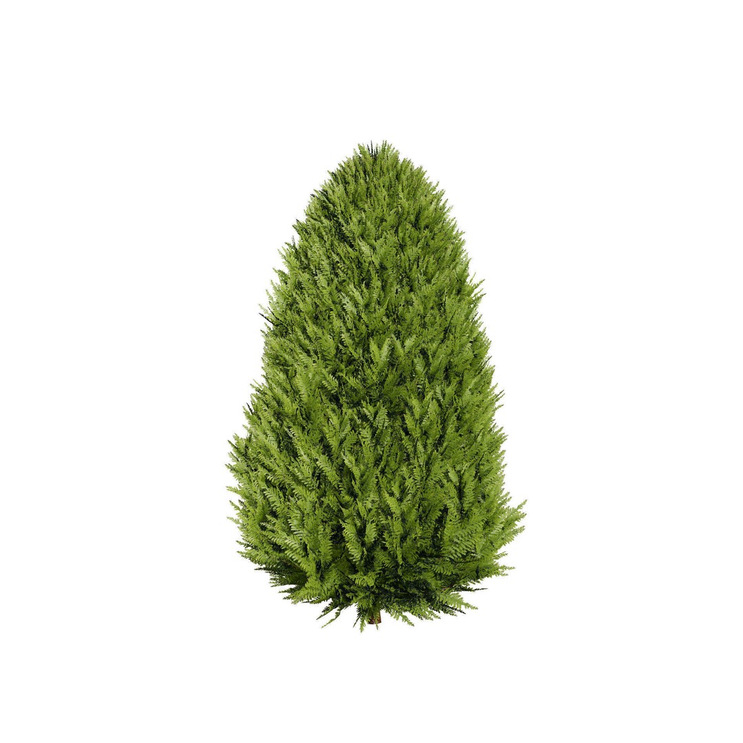 Conifer 3D Model Pack – High-Quality Trees for Archviz & Games - View 19
