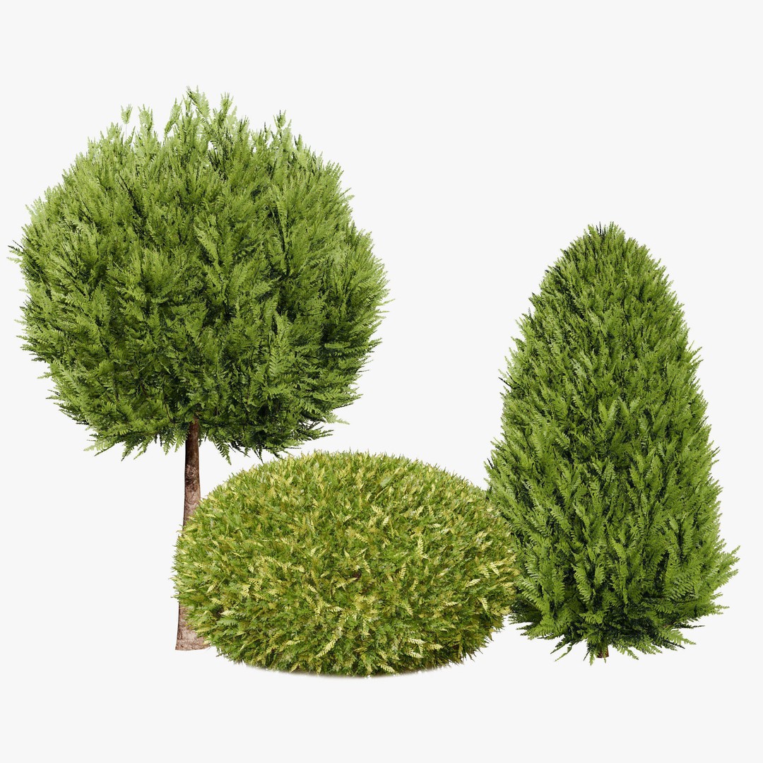 Conifer 3D Model Pack – High-Quality Trees for Archviz & Games - View 21