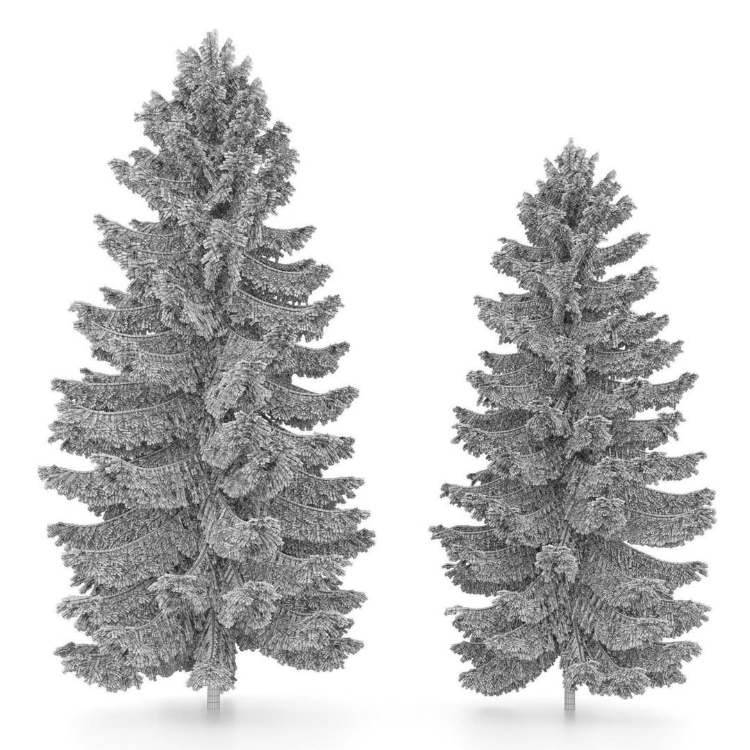 Conifer 3D Model Pack – High-Quality Trees for Archviz & Games - View 24