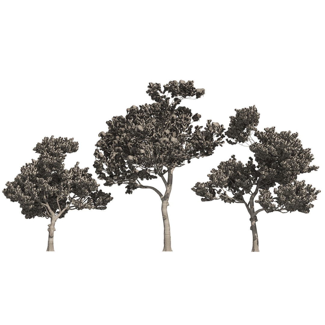 Conifer 3D Model Pack – High-Quality Trees for Archviz & Games - View 25