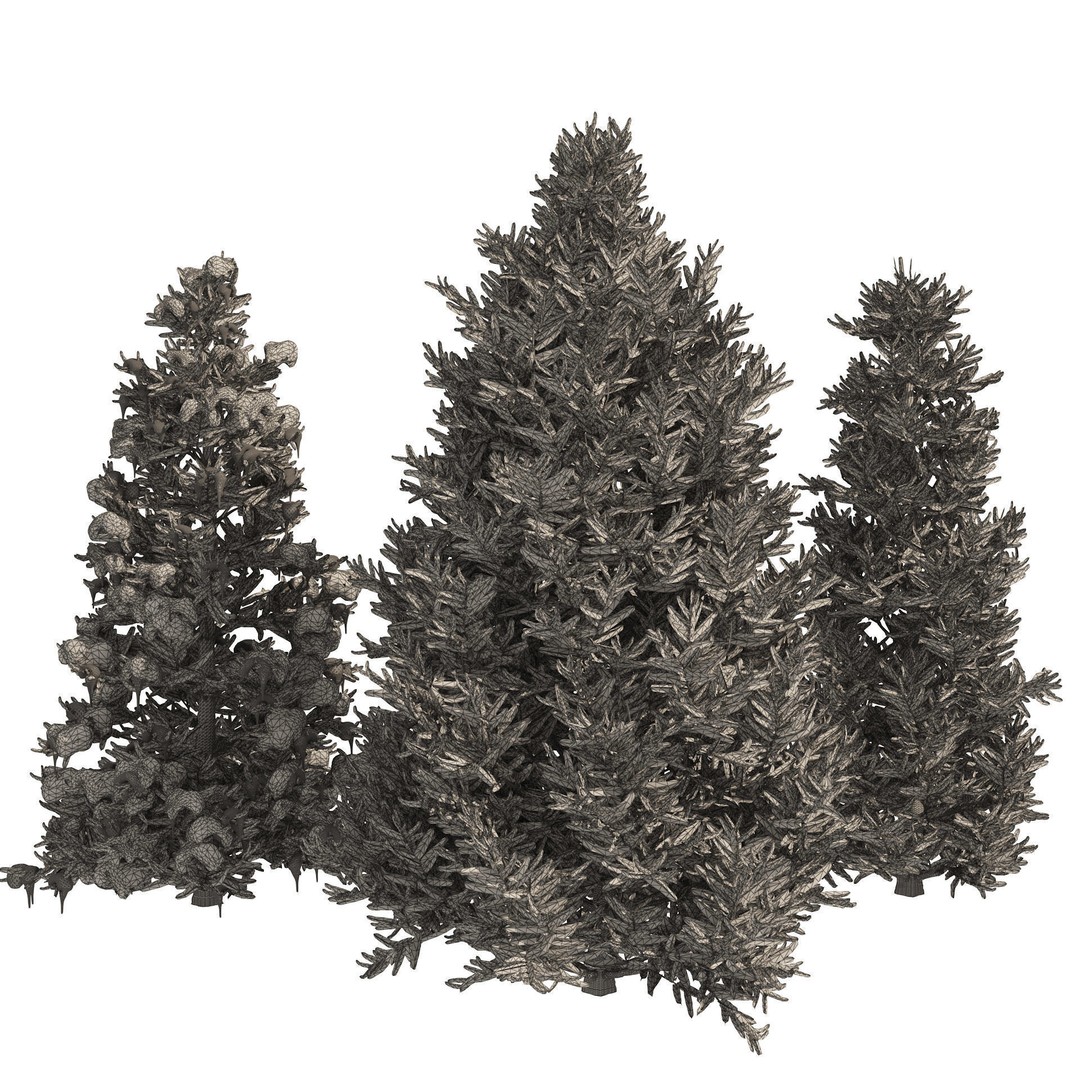 Conifer 3D Model Pack – High-Quality Trees for Archviz & Games - View 28