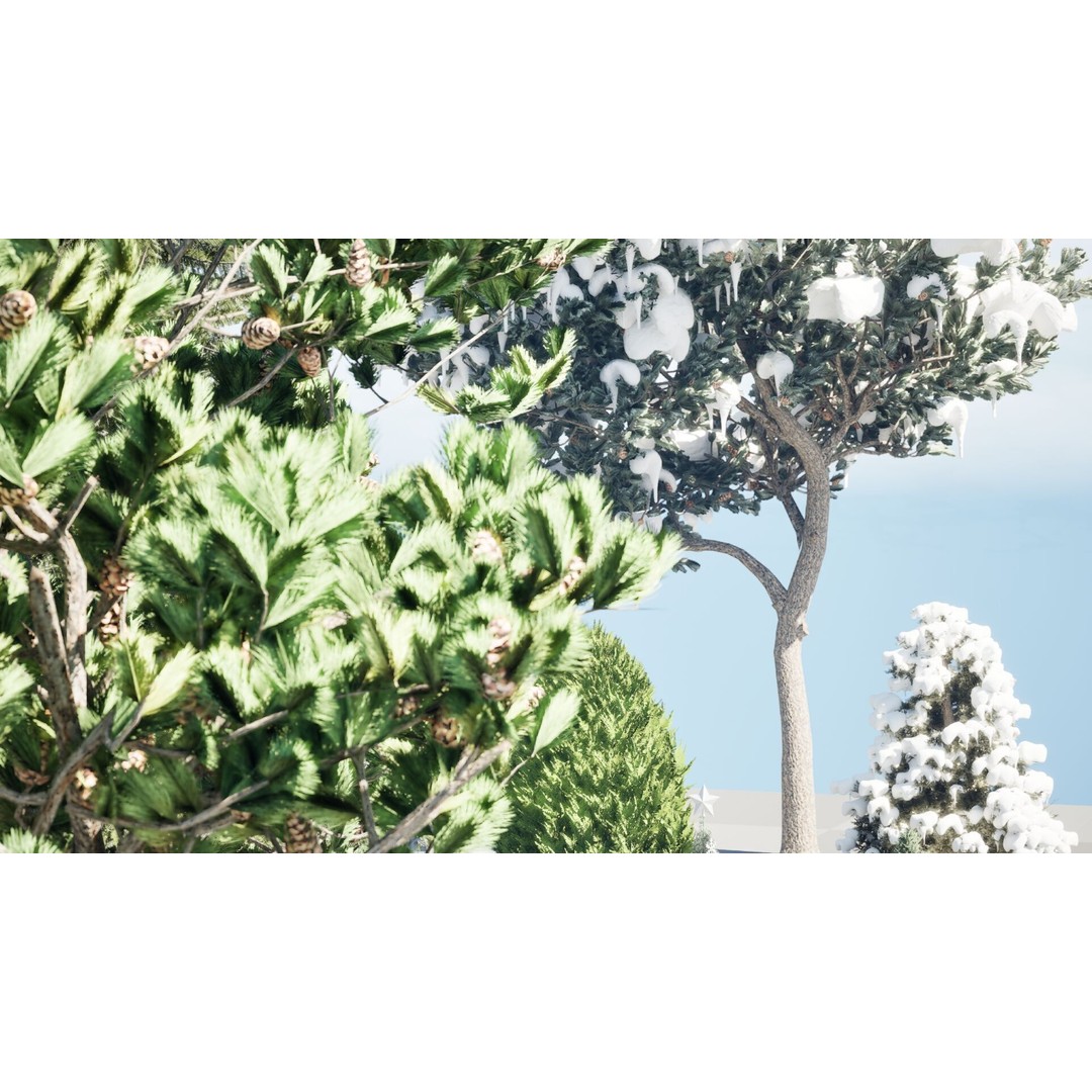 Conifer 3D Model Pack – High-Quality Trees for Archviz & Games - View 6