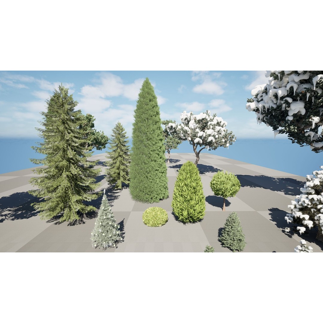 Conifer 3D Model Pack – High-Quality Trees for Archviz & Games - View 7