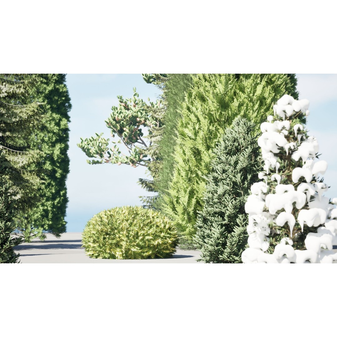 Conifer 3D Model Pack – High-Quality Trees for Archviz & Games - View 8