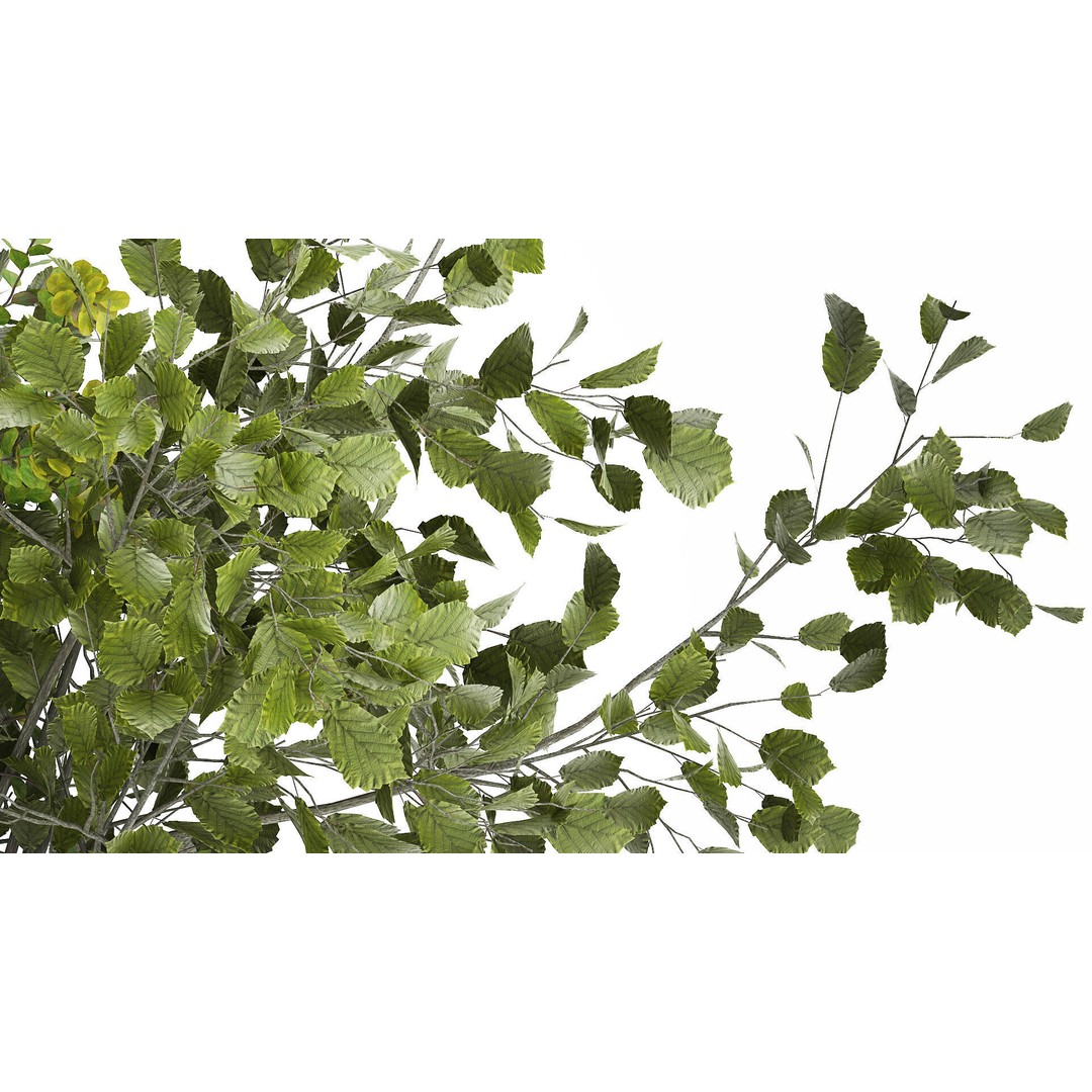Cherry Blossom Bouquet 3D Model – PBR Decorative Asset, FBX - View 6