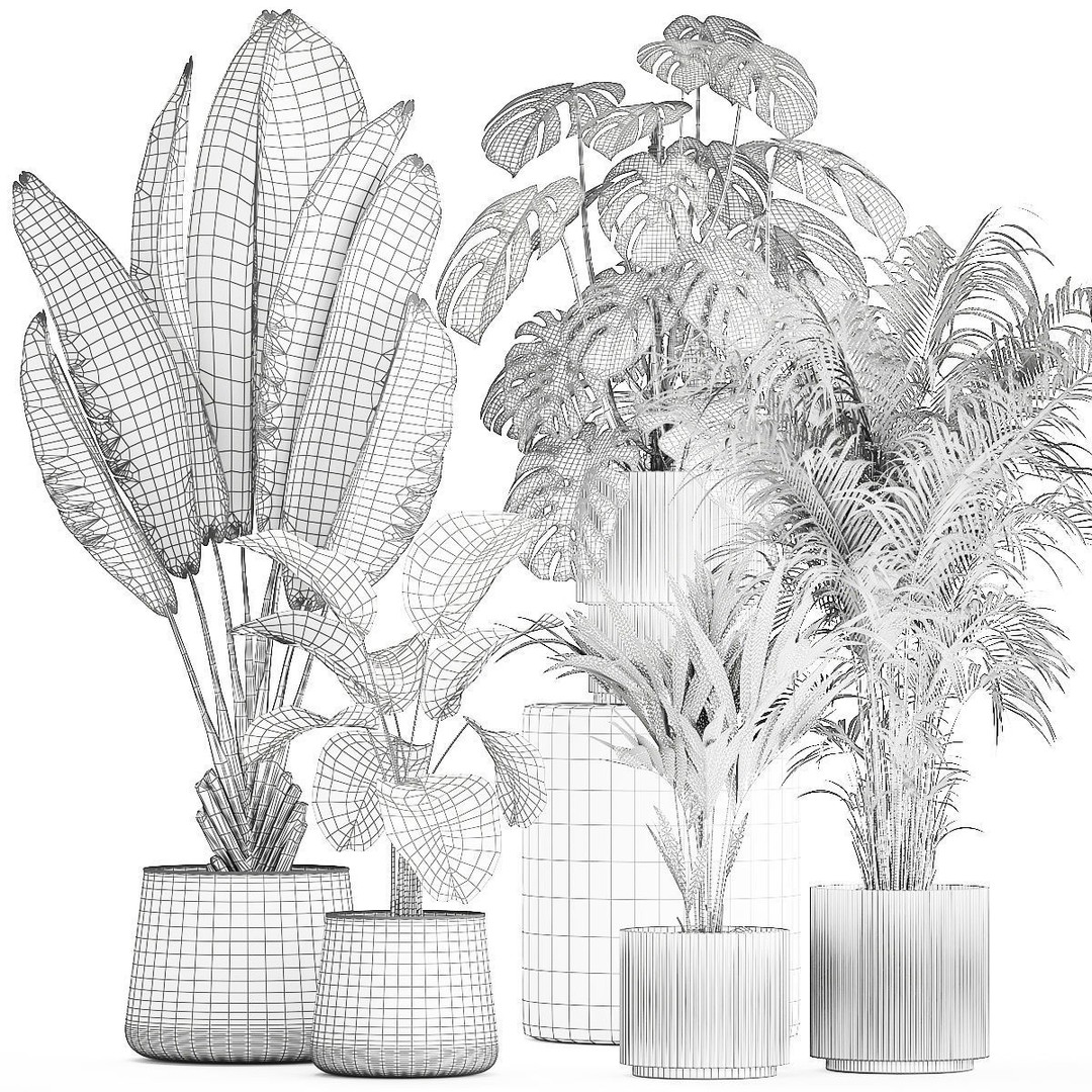 Tropical Plants 3D Model – Stylish Indoor & Outdoor Decor, FBX