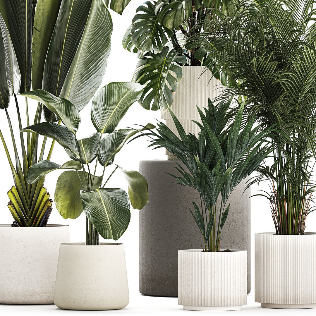 Tropical Plants 3D Model – Stylish Indoor & Outdoor Decor, FBX - View 12