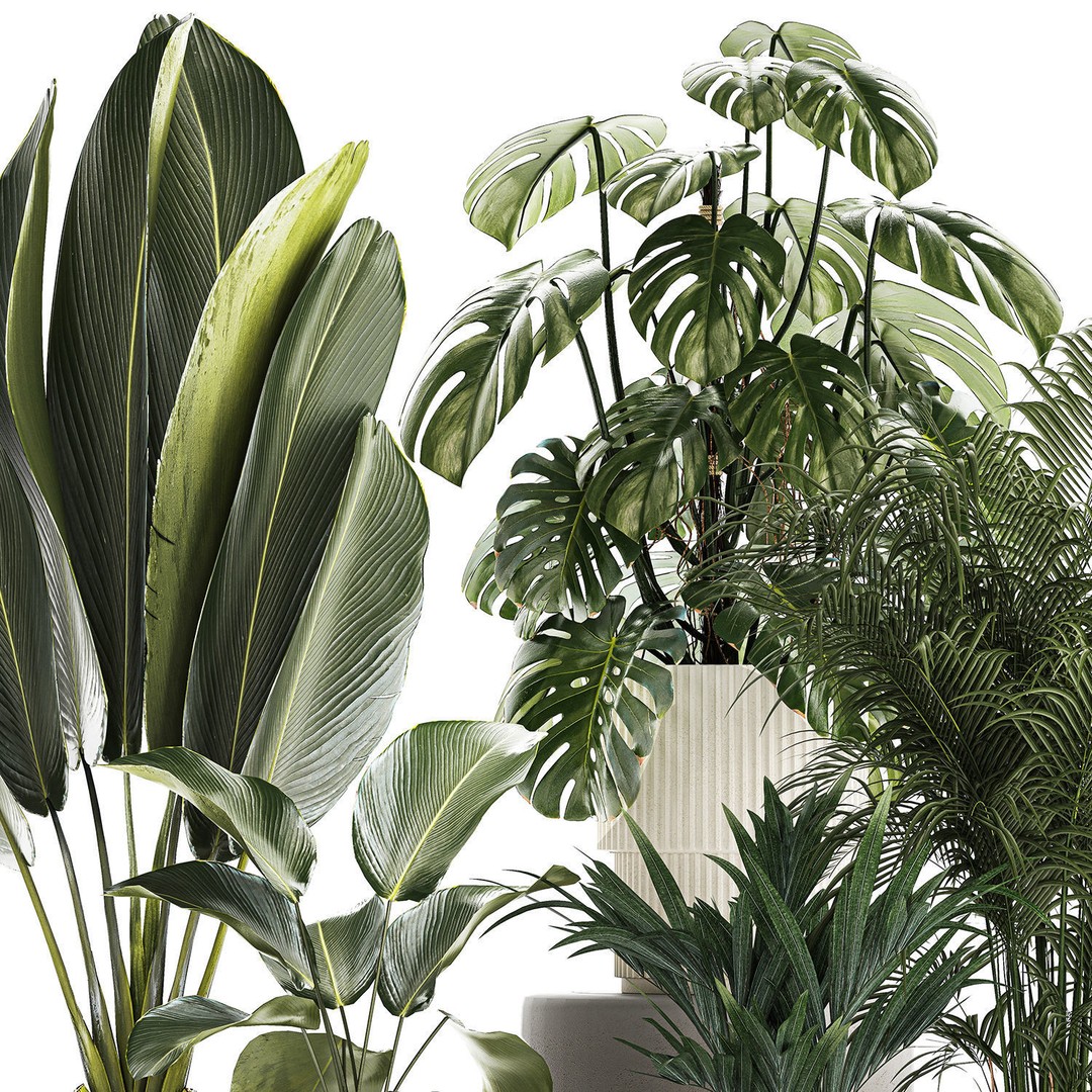 Tropical Plants 3D Model – Stylish Indoor & Outdoor Decor, FBX - View 13