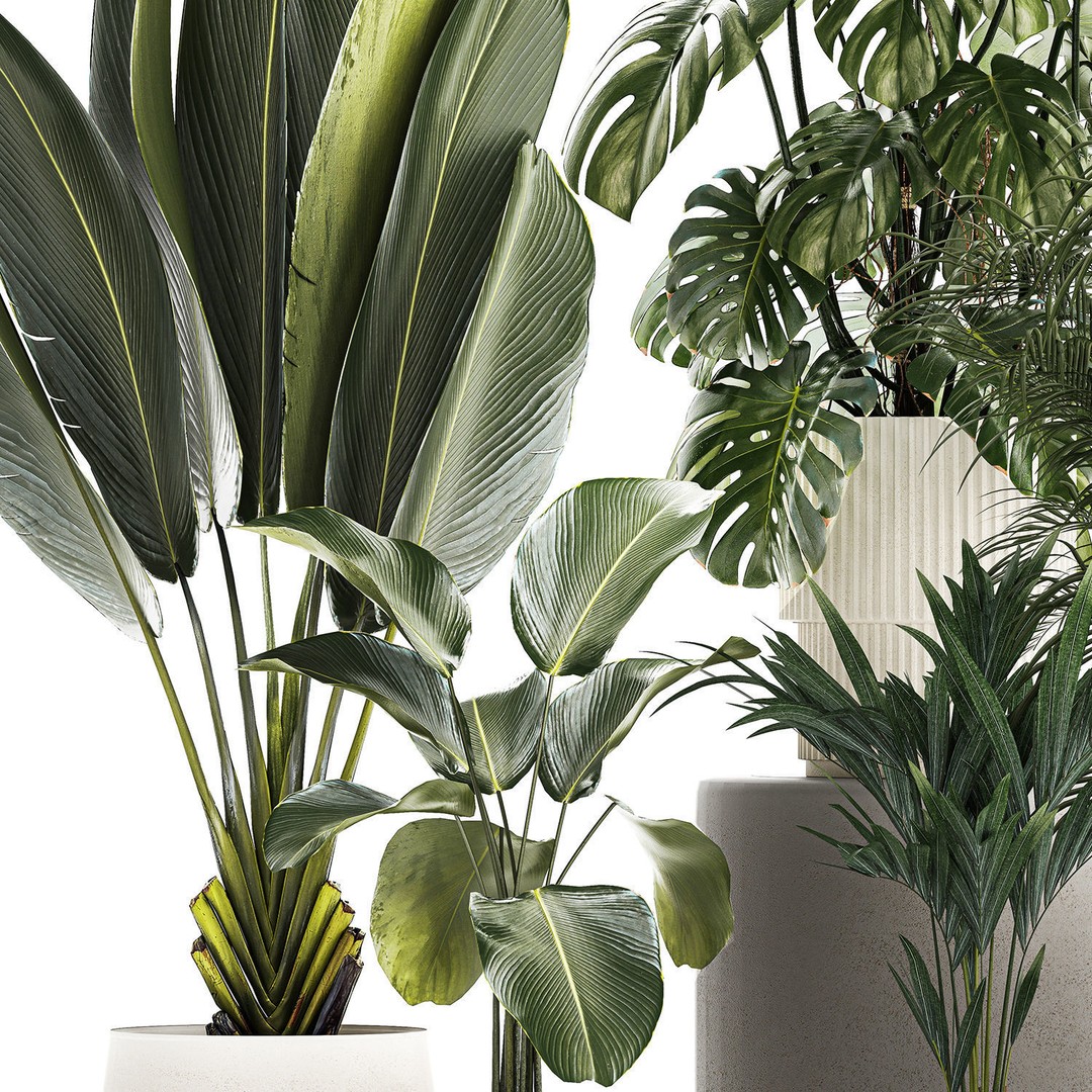 Tropical Plants 3D Model – Stylish Indoor & Outdoor Decor, FBX - View 14