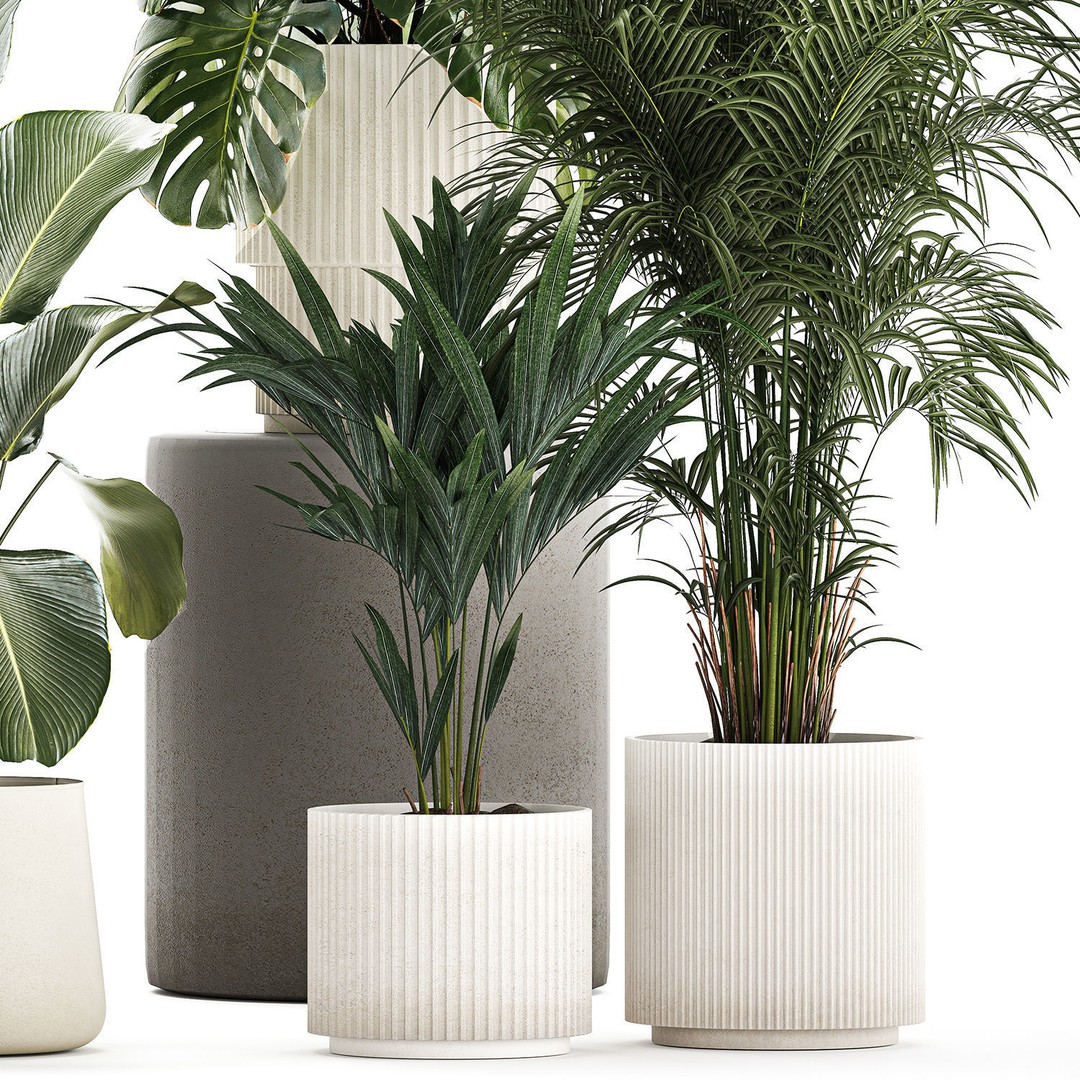 Tropical Plants 3D Model – Stylish Indoor & Outdoor Decor, FBX - View 15