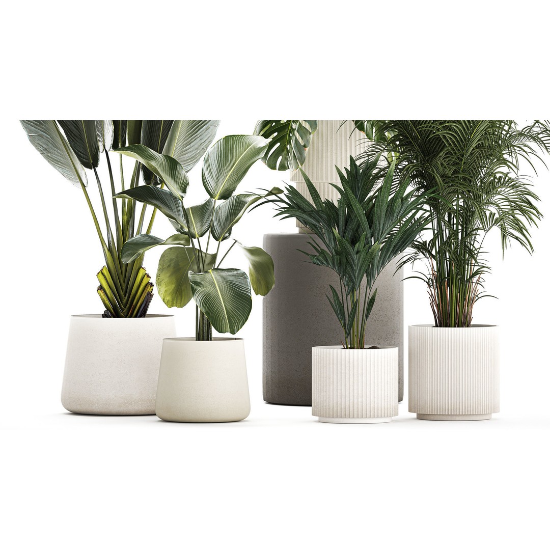 Tropical Plants 3D Model – Stylish Indoor & Outdoor Decor, FBX - View 4