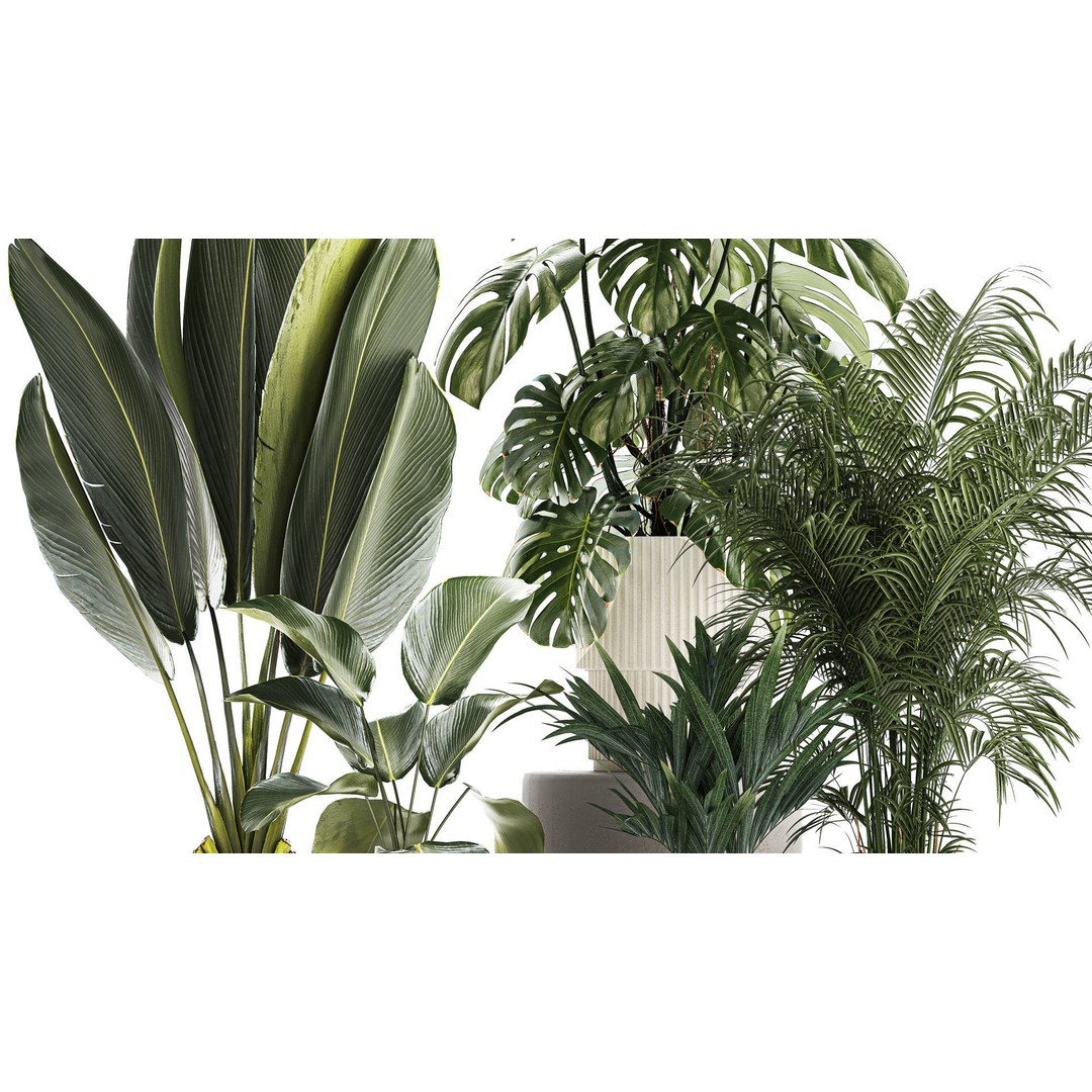 Tropical Plants 3D Model – Stylish Indoor & Outdoor Decor, FBX - View 5