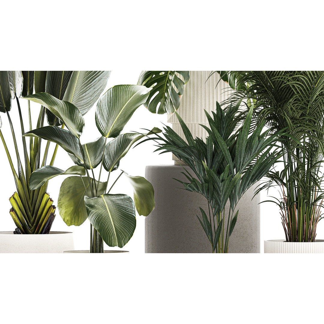 Tropical Plants 3D Model – Stylish Indoor & Outdoor Decor, FBX - View 6
