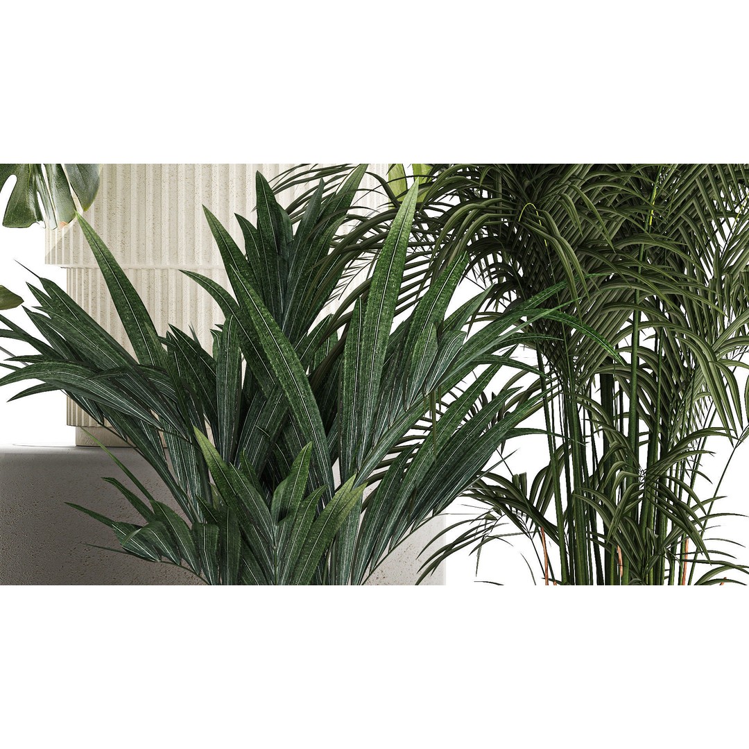 Tropical Plants 3D Model – Stylish Indoor & Outdoor Decor, FBX - View 8