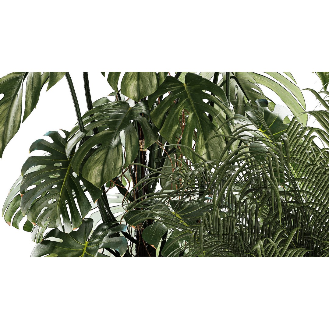 Tropical Plants 3D Model – Stylish Indoor & Outdoor Decor, FBX - View 9