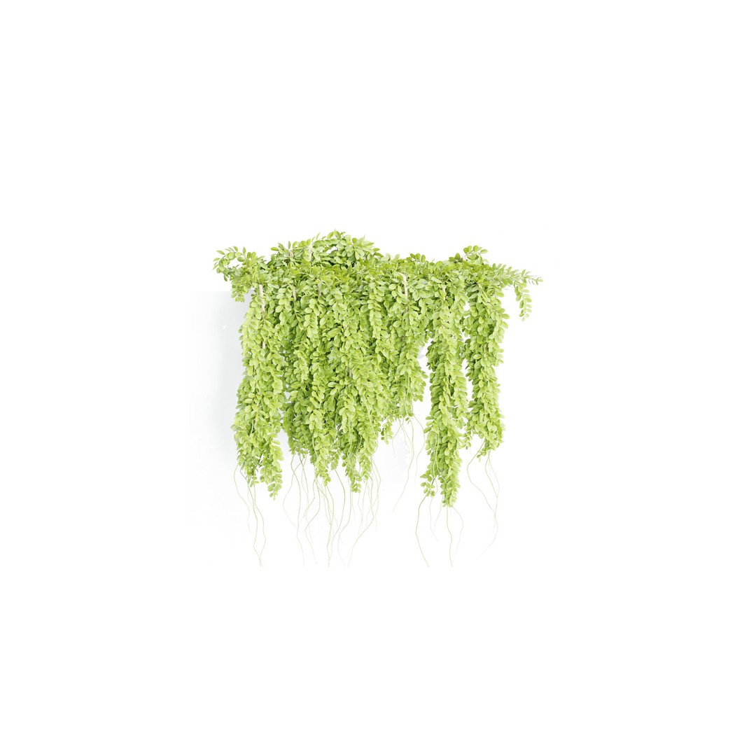 Hanging Wall Plants 3D Model – Blender Collection, PBR Textures - View 8