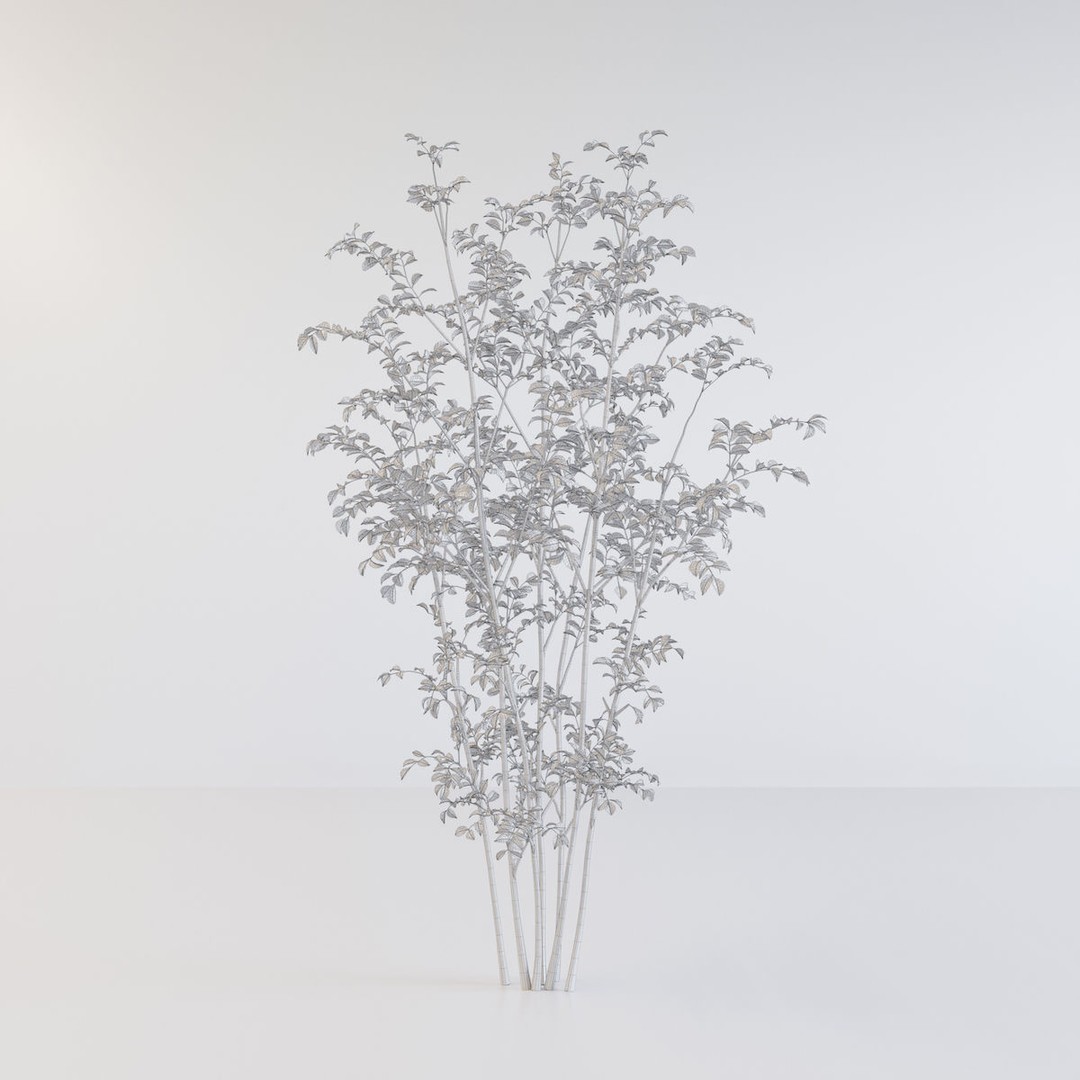 Fraxinus Griffithii Tree 3D Model – High Poly PBR Asset, FBX/OBJ - View 6