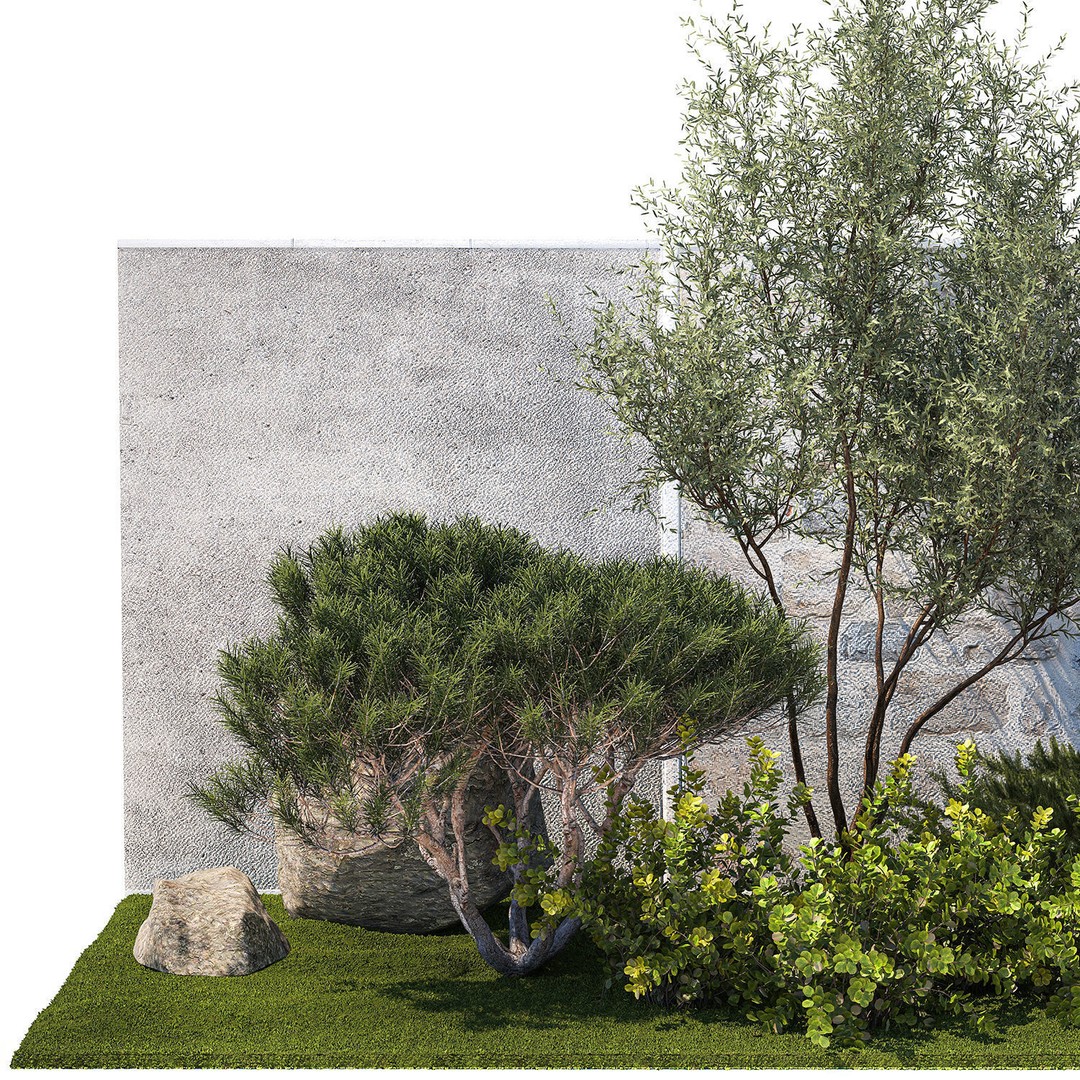 Juniper Topiary 3D Model – Decorative Plant Asset, Game-Ready FBX - View 11