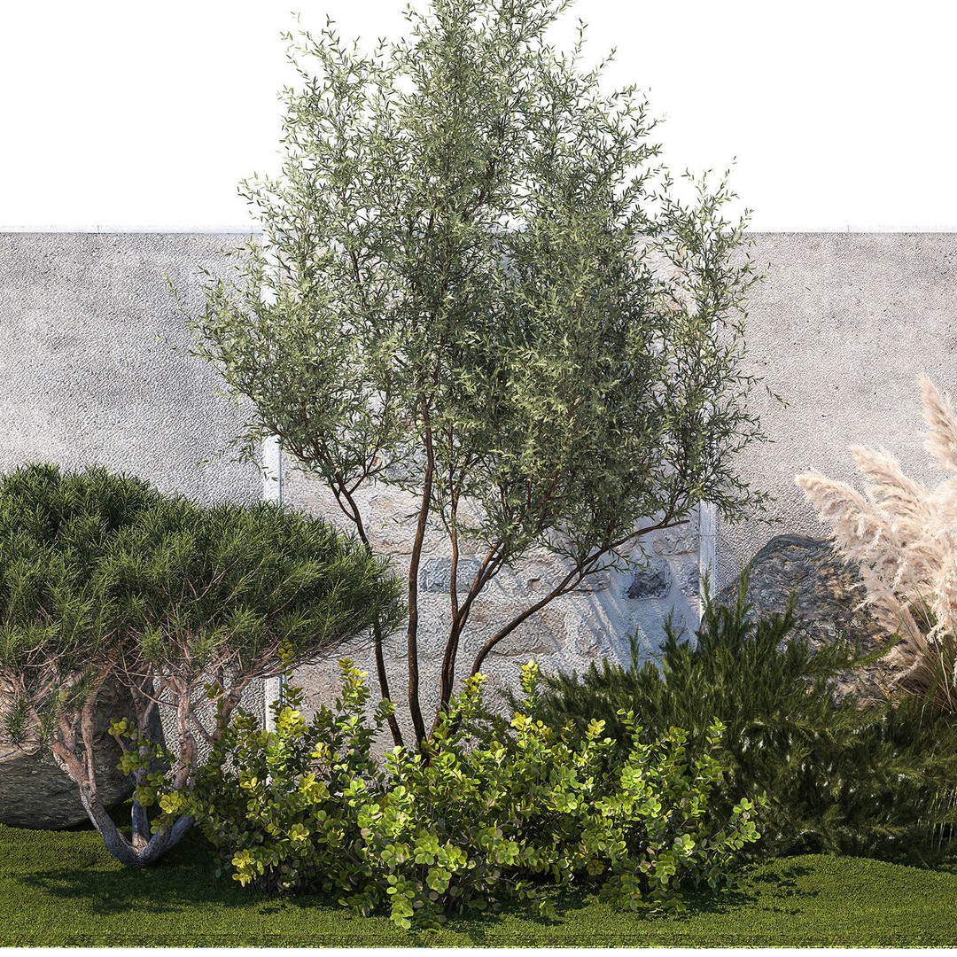 Juniper Topiary 3D Model – Decorative Plant Asset, Game-Ready FBX - View 12
