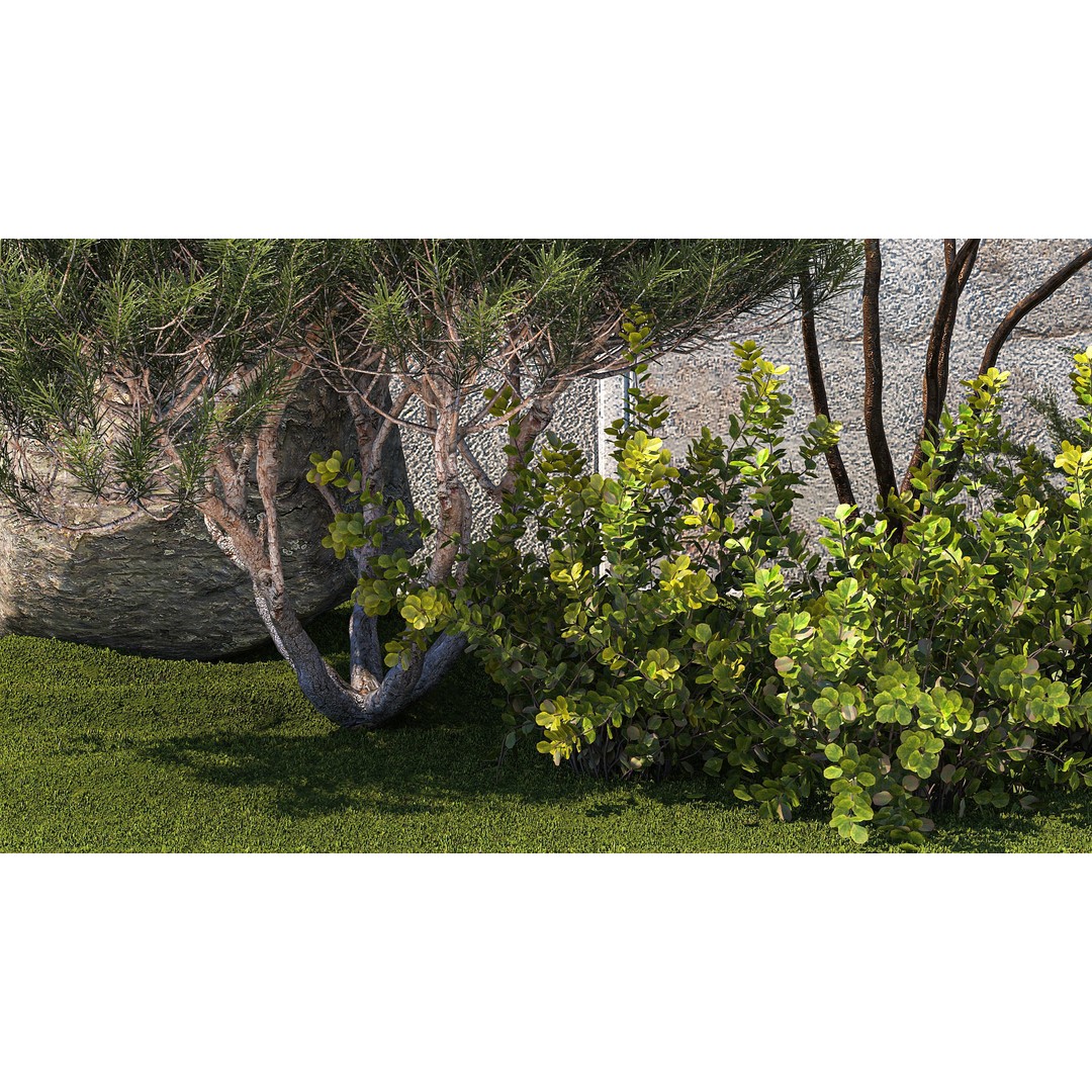Juniper Topiary 3D Model – Decorative Plant Asset, Game-Ready FBX - View 6