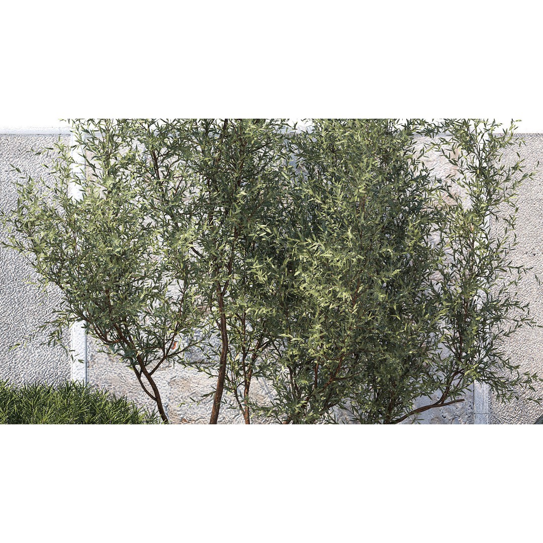 Juniper Topiary 3D Model – Decorative Plant Asset, Game-Ready FBX - View 7