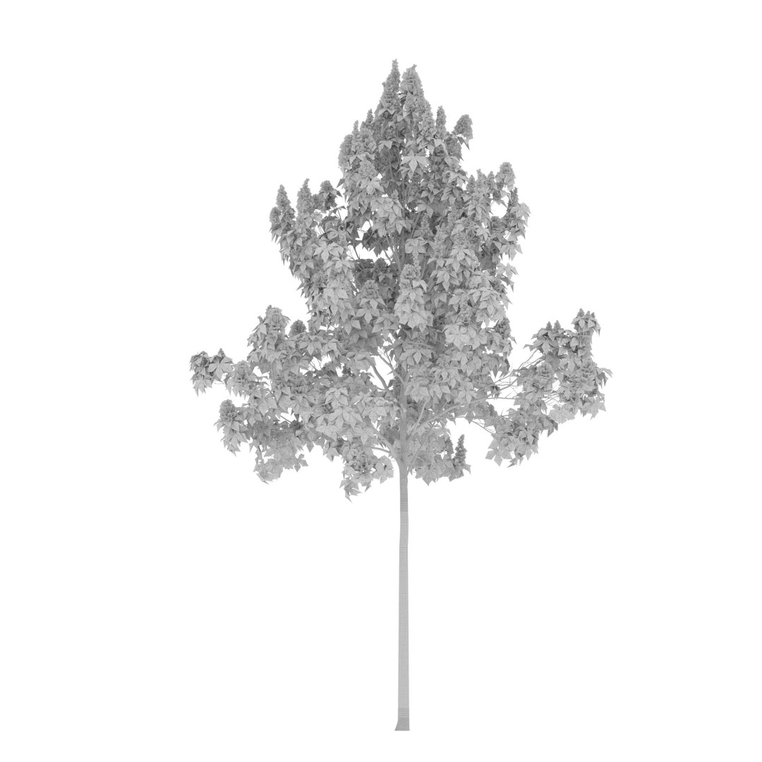 Chestnut Tree 3D Model – High Poly Plant Asset, FBX, PBR Textures