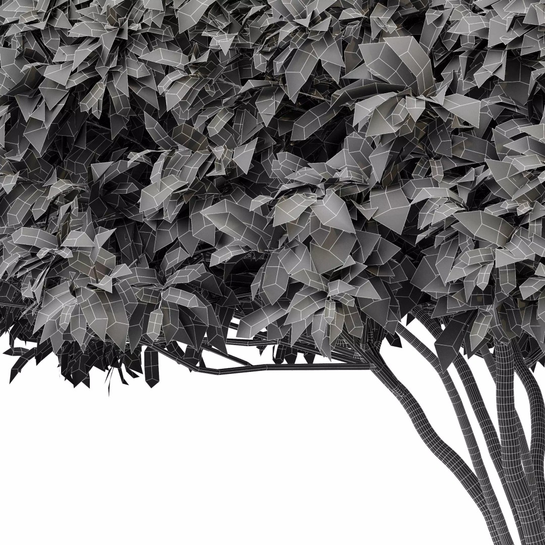 Catalpa Bignonioides Nana 3D Model – Realistic Tree Collection, FBX, OBJ - View 10