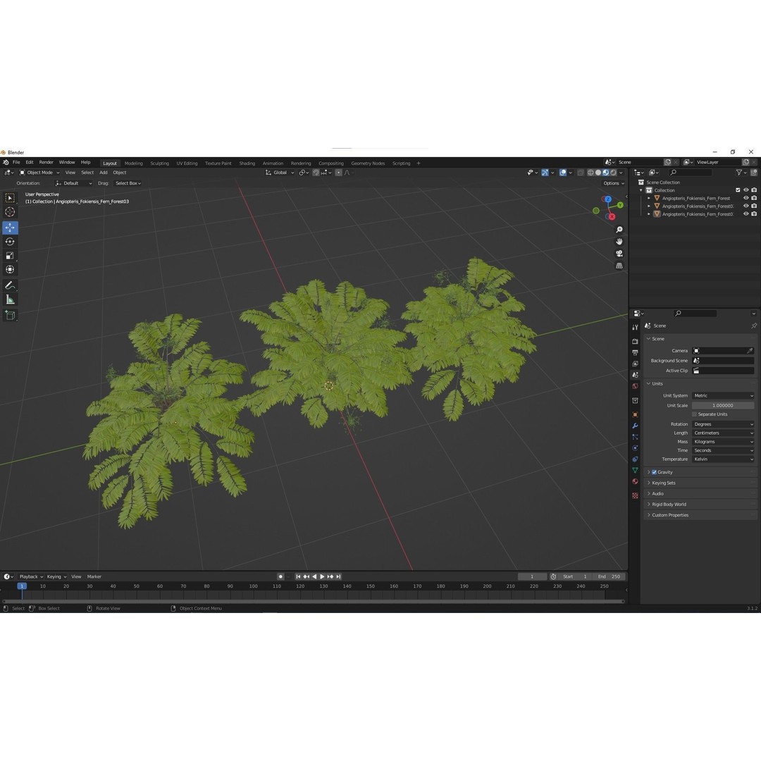 Angiopteris Fokiensis Fern 3D Model – High Detail PBR Asset, FBX, OBJ