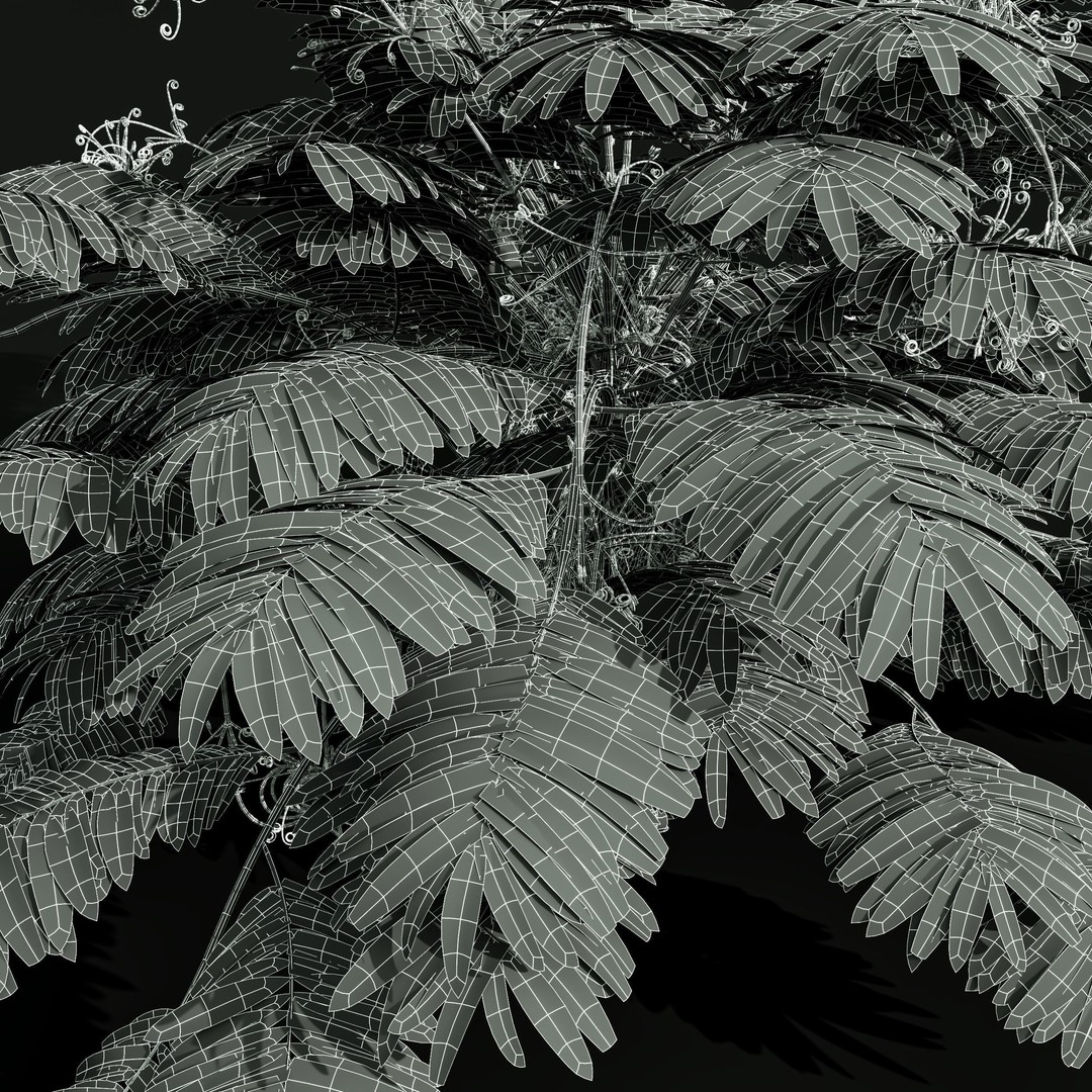Angiopteris Fokiensis Fern 3D Model – High Detail PBR Asset, FBX, OBJ - View 6