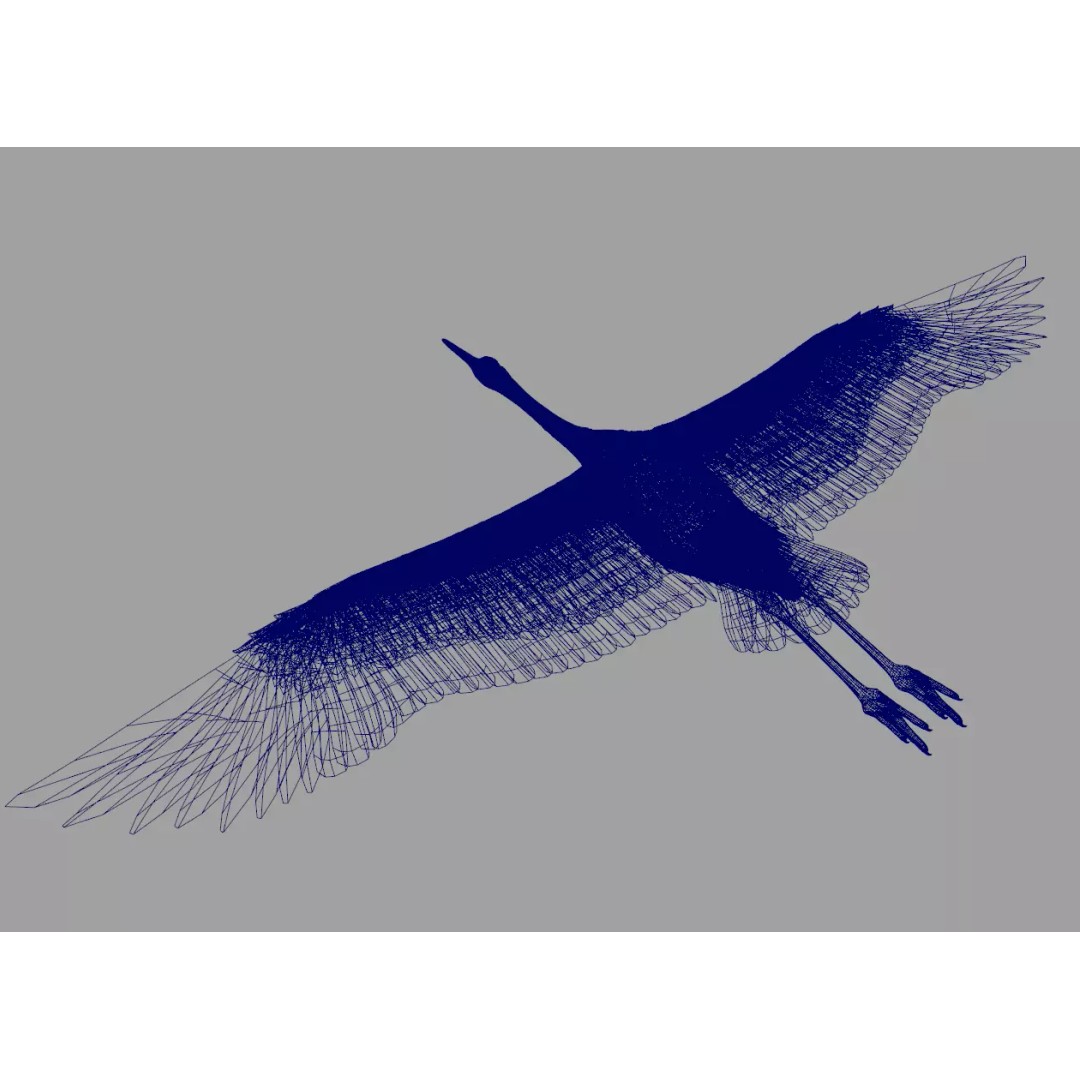 Crane 3D Model – Rigged High Poly Wildlife Asset, FBX/OBJ - View 11